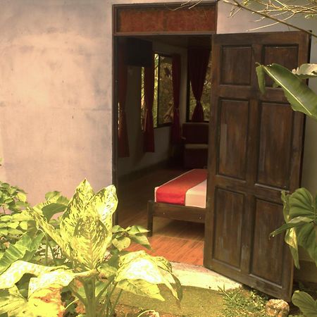 Cabañas Colibrí Tayutic Turrialba Exterior foto