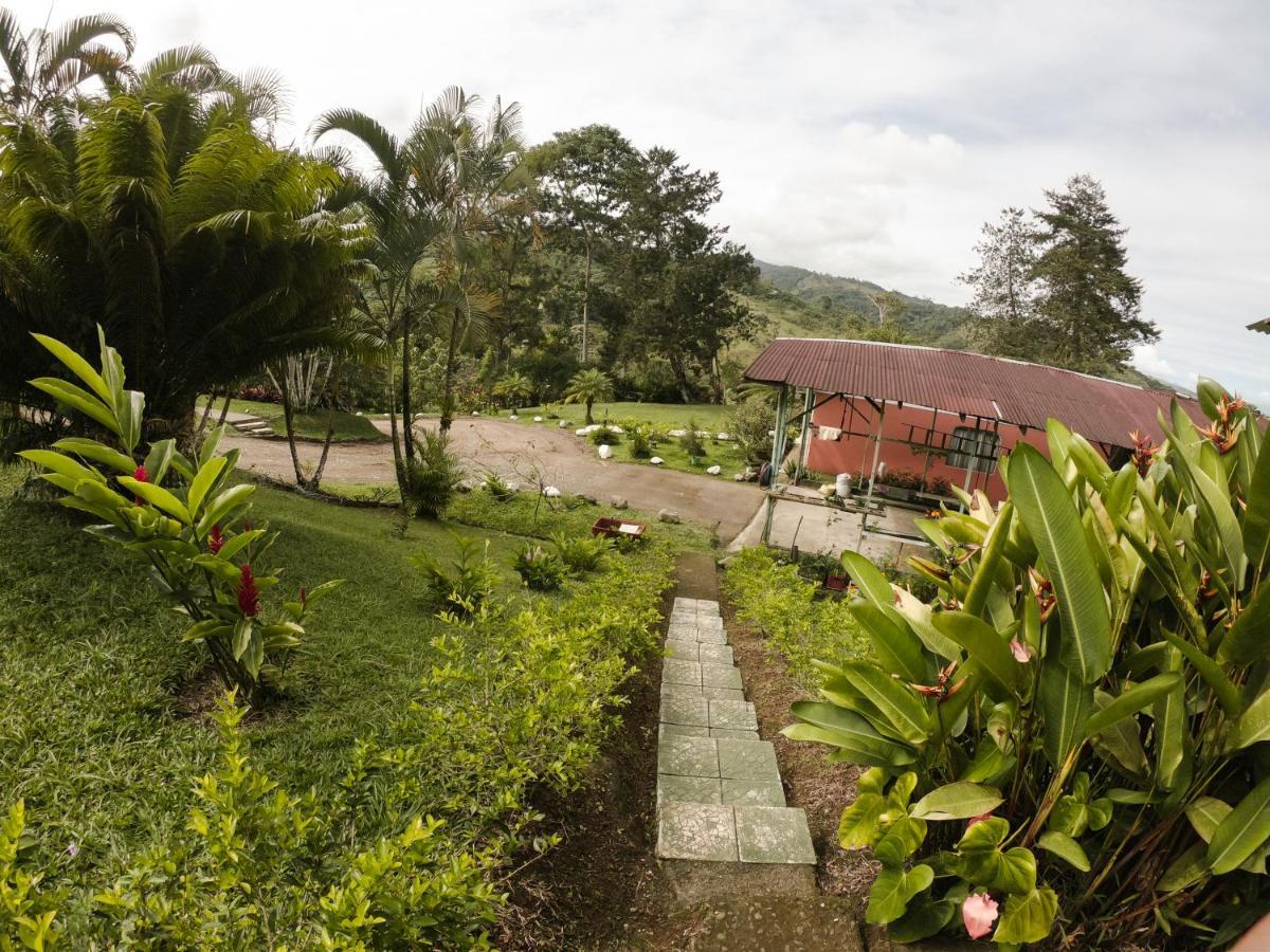 Cabañas Colibrí Tayutic Turrialba Exterior foto