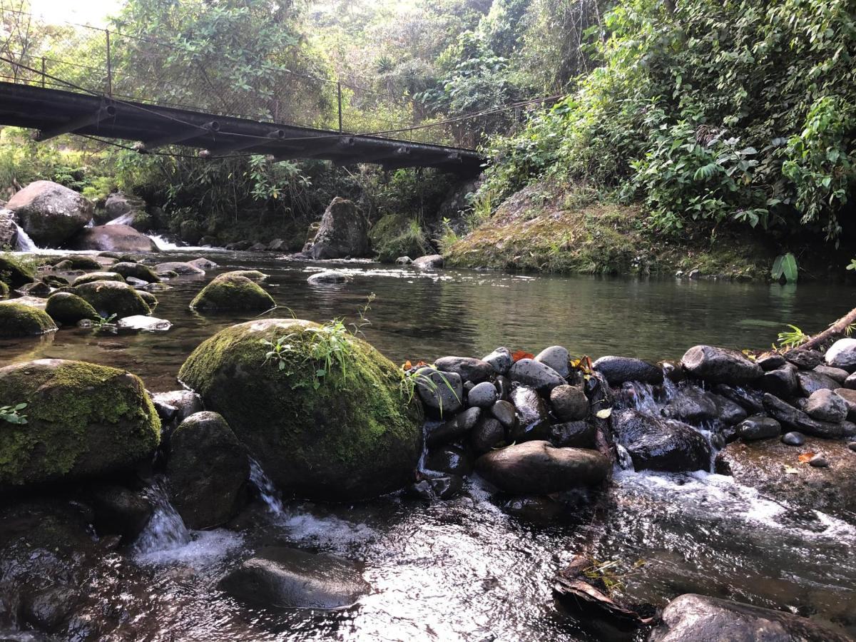 Cabañas Colibrí Tayutic Turrialba Exterior foto