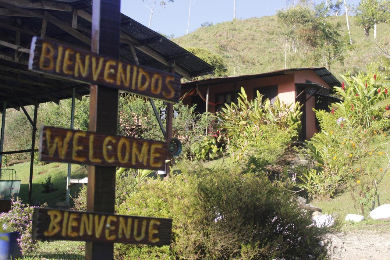 Cabañas Colibrí Tayutic Turrialba Exterior foto