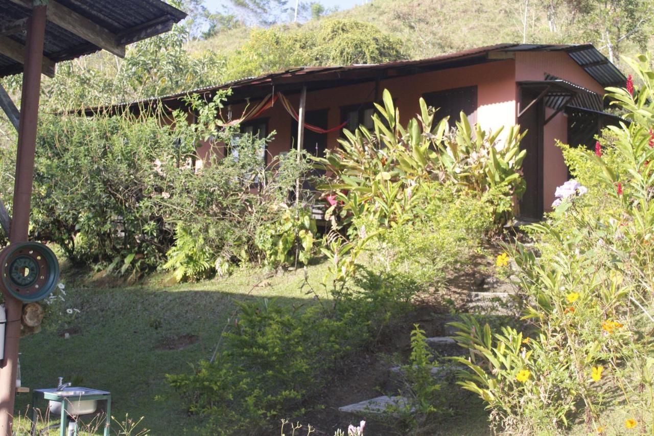 Cabañas Colibrí Tayutic Turrialba Exterior foto