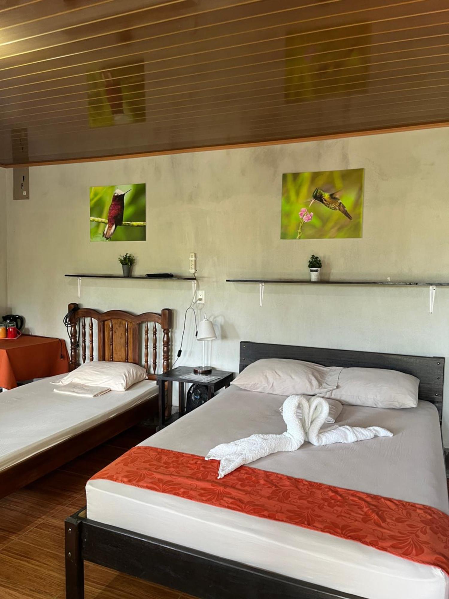 Cabañas Colibrí Tayutic Turrialba Exterior foto
