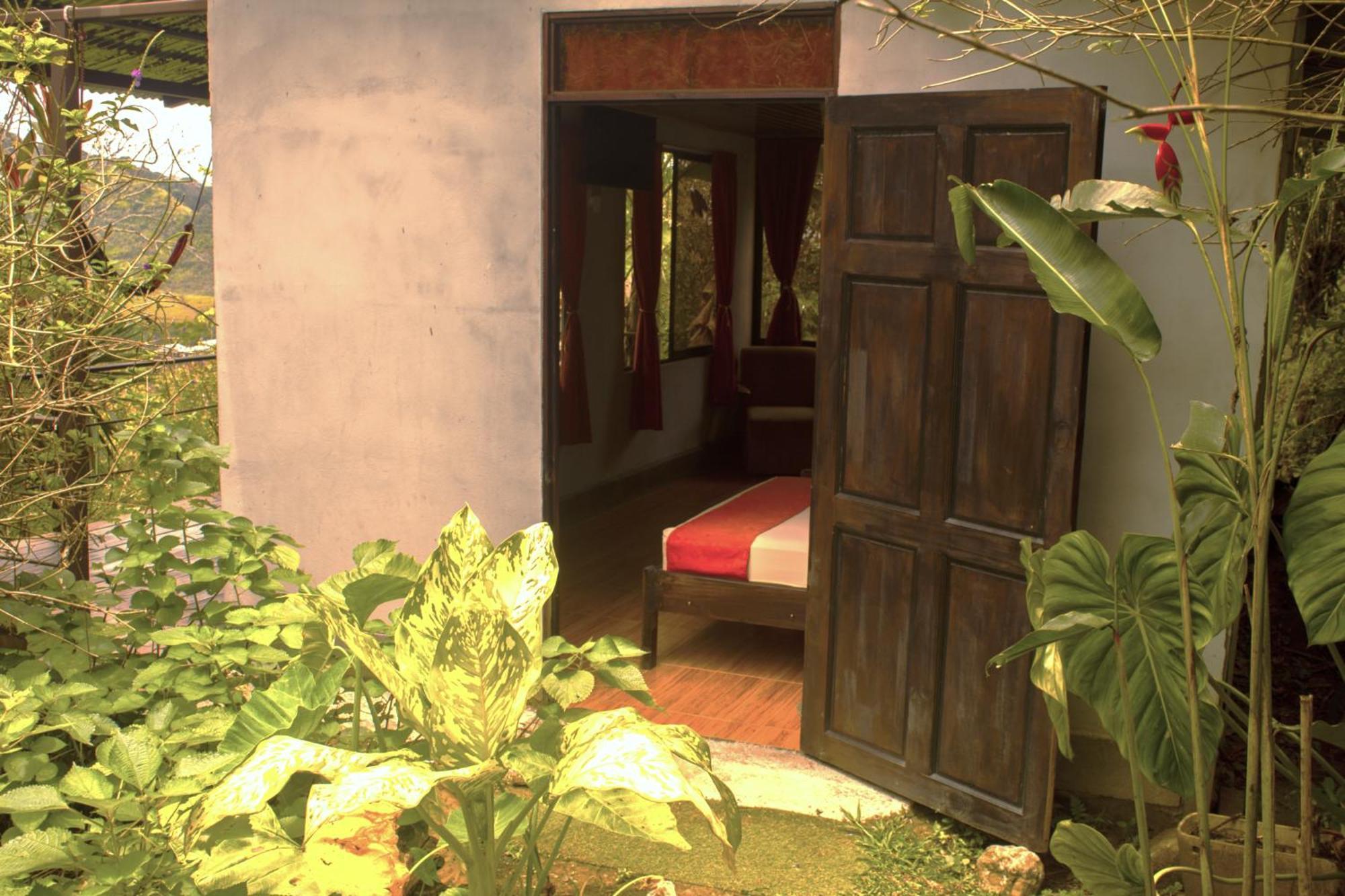 Cabañas Colibrí Tayutic Turrialba Exterior foto