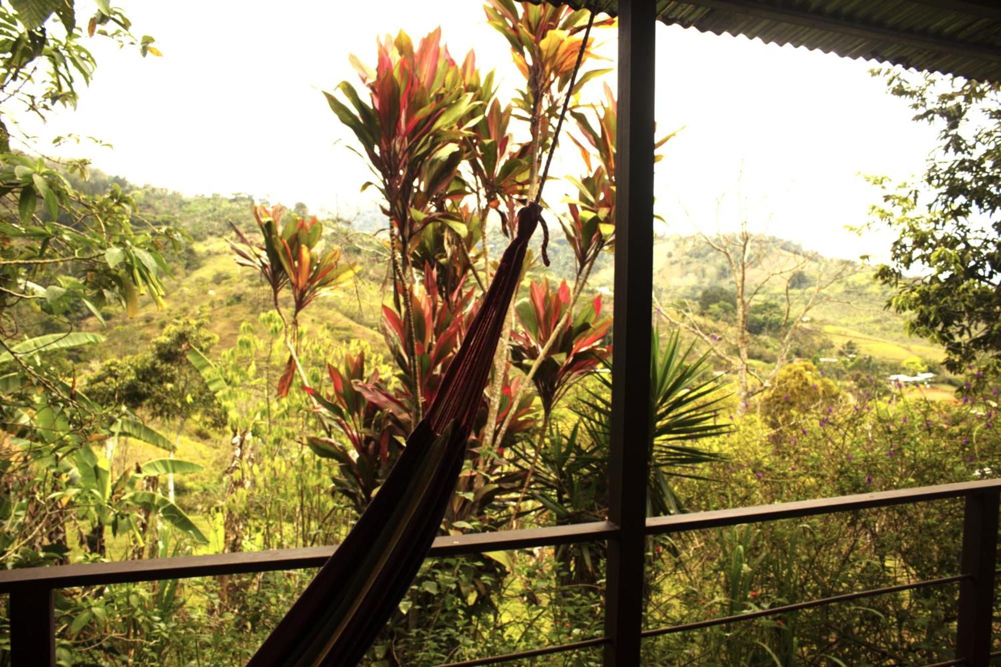 Cabañas Colibrí Tayutic Turrialba Exterior foto