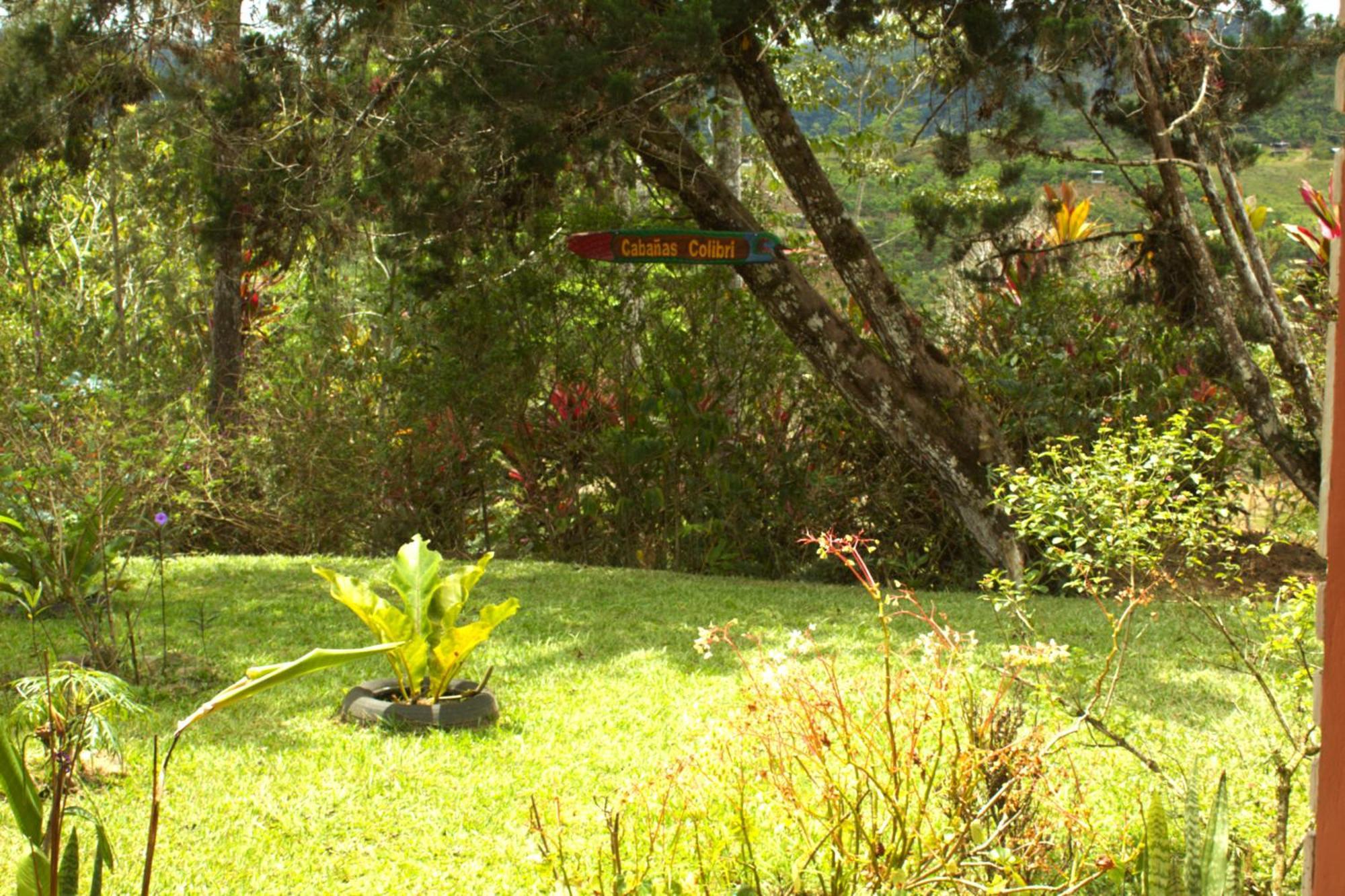 Cabañas Colibrí Tayutic Turrialba Exterior foto