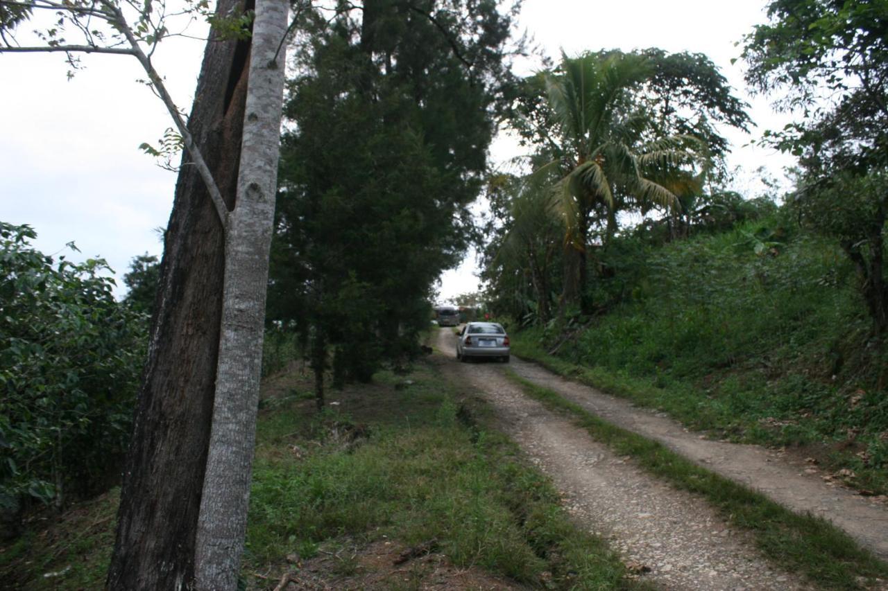 Cabañas Colibrí Tayutic Turrialba Exterior foto