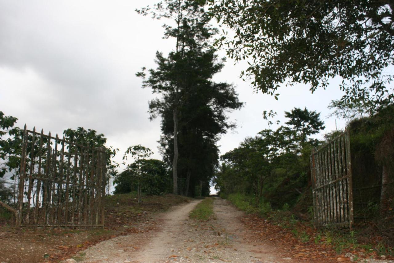 Cabañas Colibrí Tayutic Turrialba Exterior foto