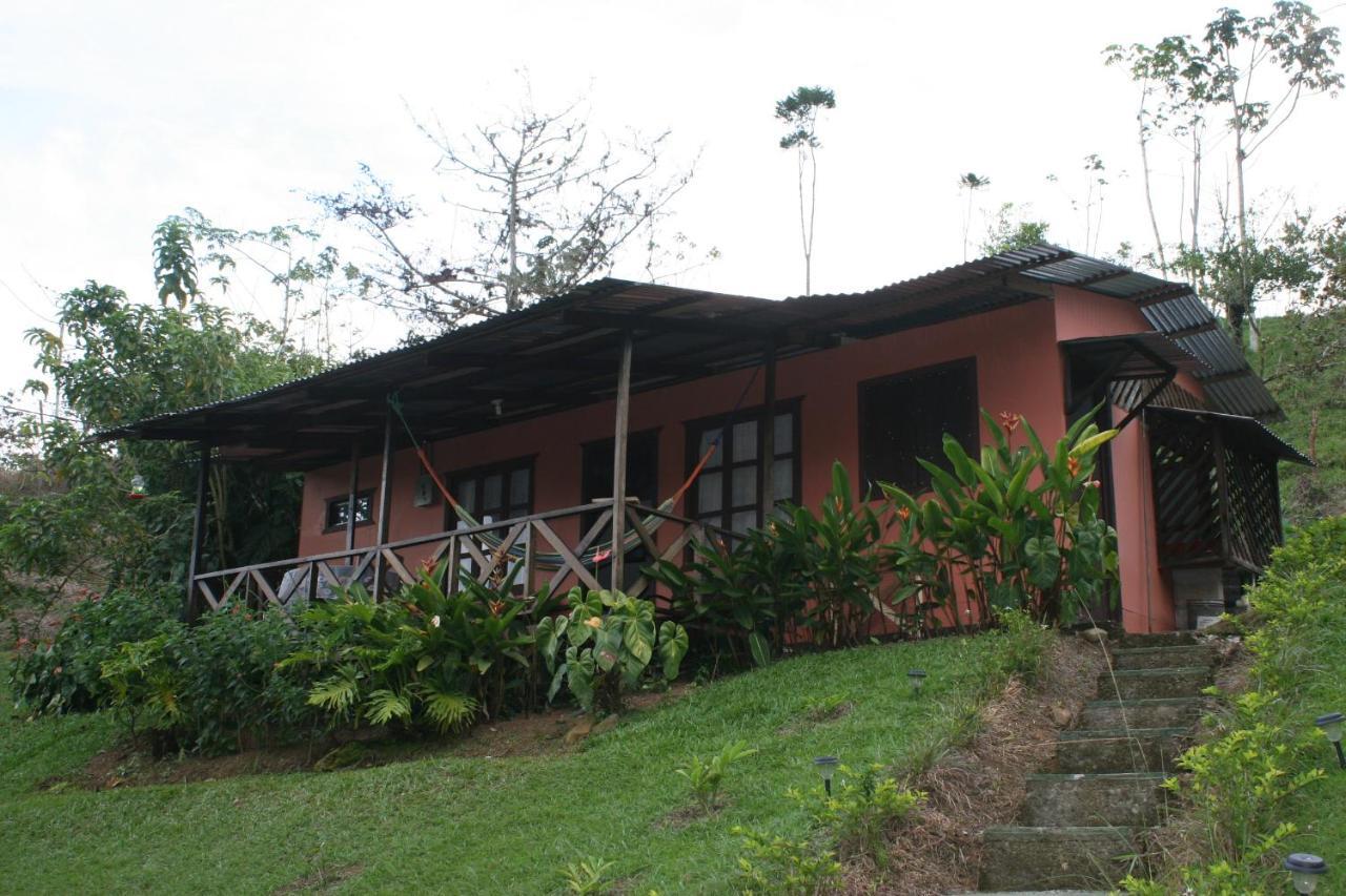 Cabañas Colibrí Tayutic Turrialba Exterior foto