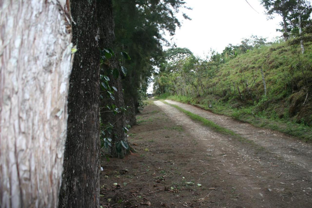 Cabañas Colibrí Tayutic Turrialba Exterior foto